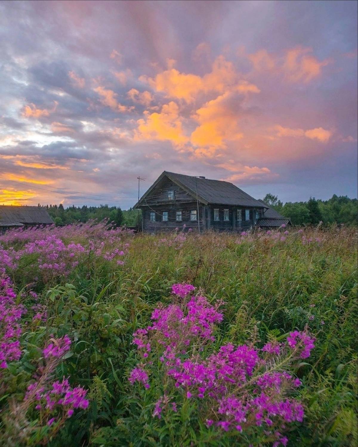 , Петр Косых