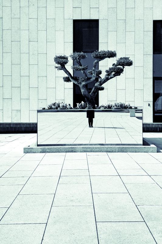 автопортрет,архитектура,отражение Автопортрет фото превью