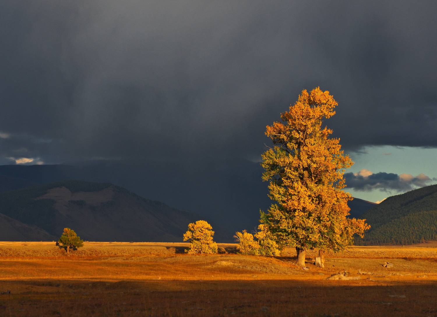 , Галина Хвостенко
