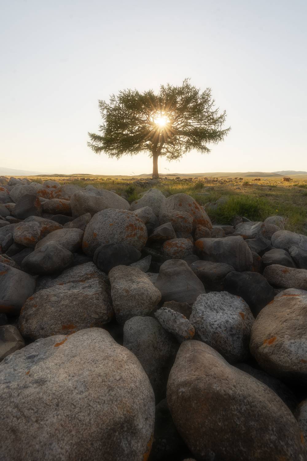 , Нигматуллин Руслан
