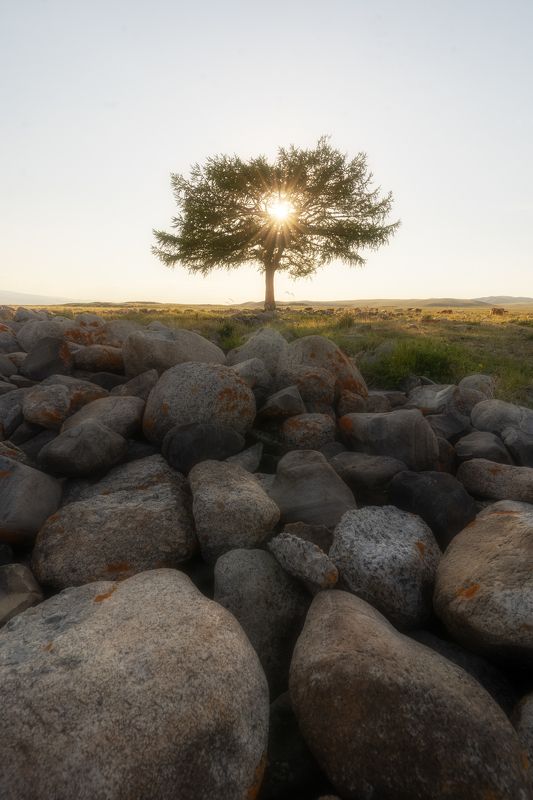 Долина реки Юстыт фото превью