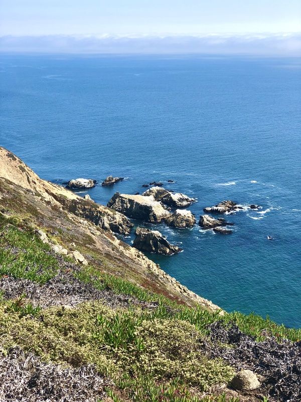 Point Reyes фото превью