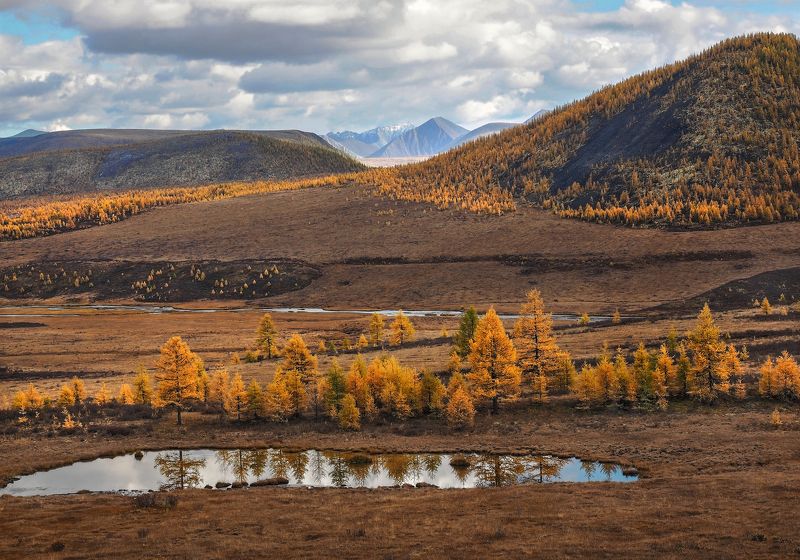 По дороге к оз.Ильчир фото превью