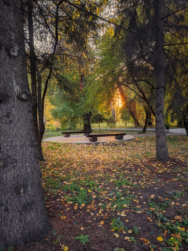 Осень и лето в ботаническом саду фото превью