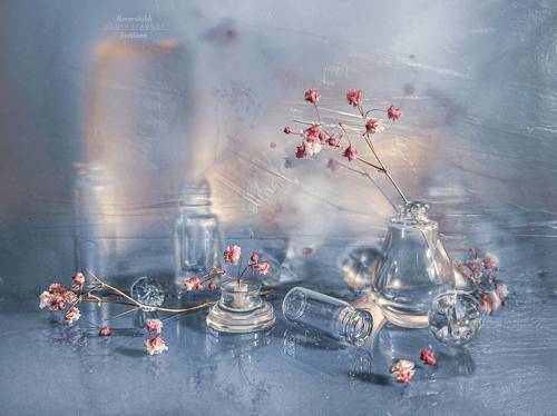 Меланхолия