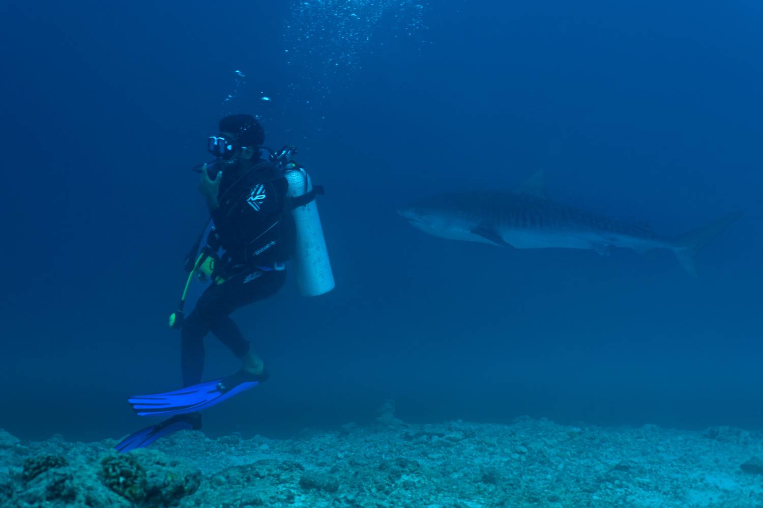 , Валерий Одинцов