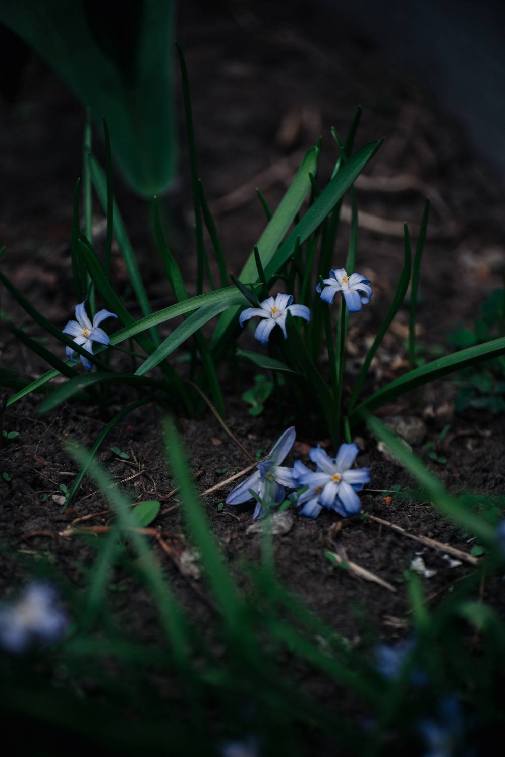 , Рыбаков Илья