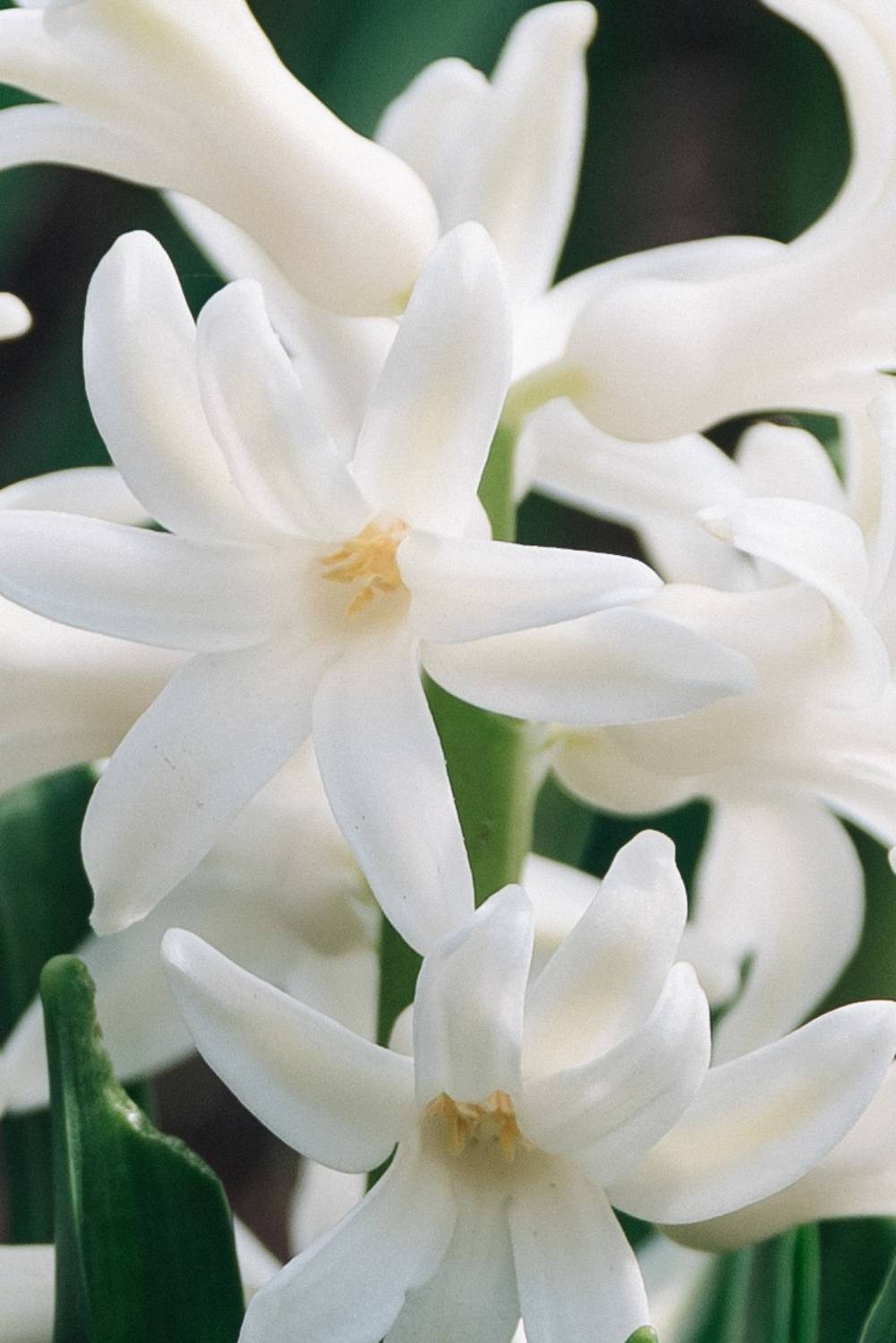 , Рыбаков Илья