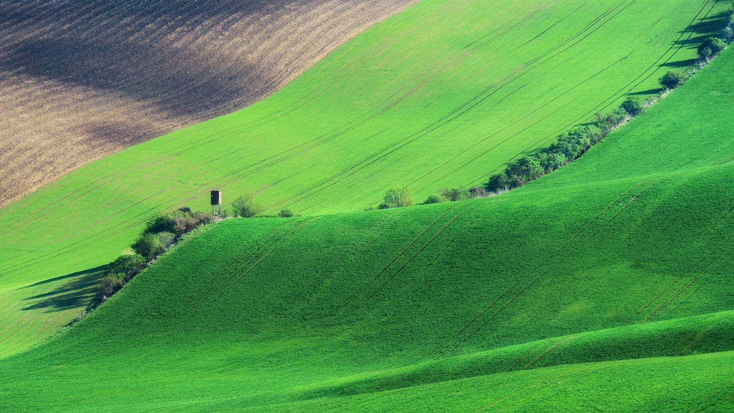 , Шимаковский Юрий