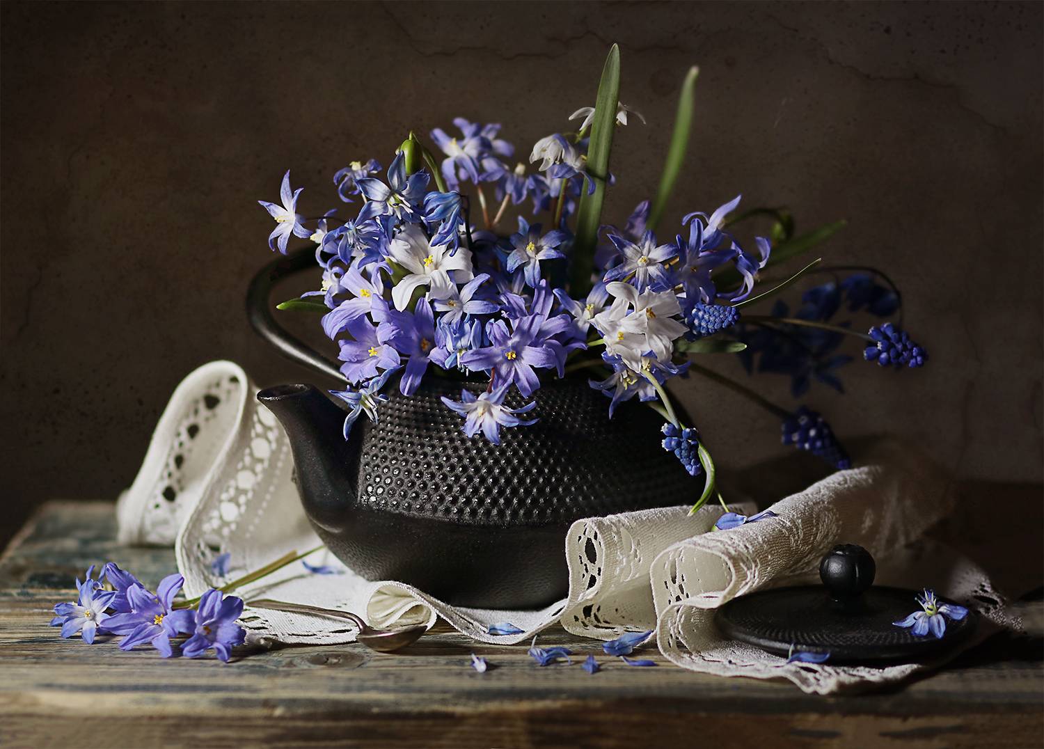 , Светлана Дерябина