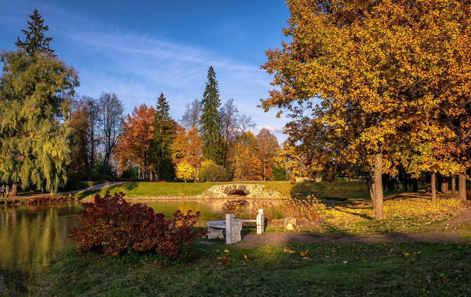 , Васильев Андрей