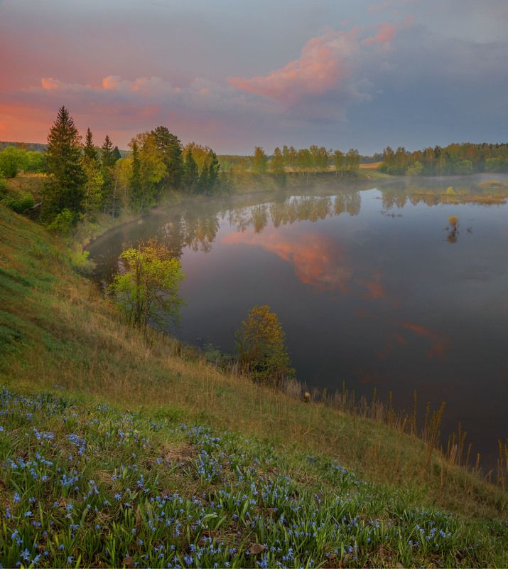 В Подмосковье весной. фото превью