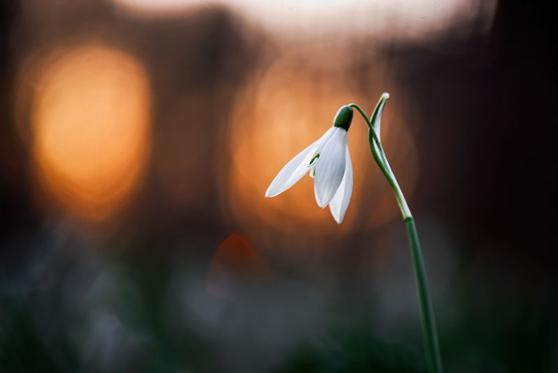 \'Loving sunsets again\' фото превью