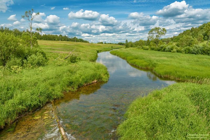 Родные просторы... Летняя река Вруда фото превью