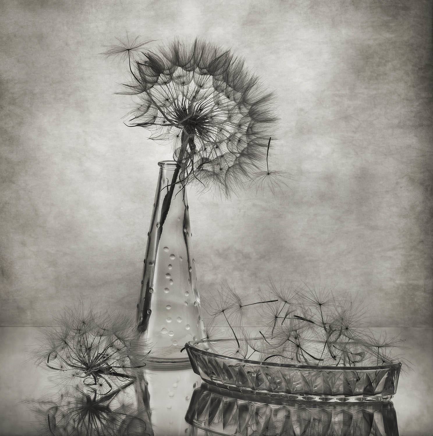 , Солодар Виктория