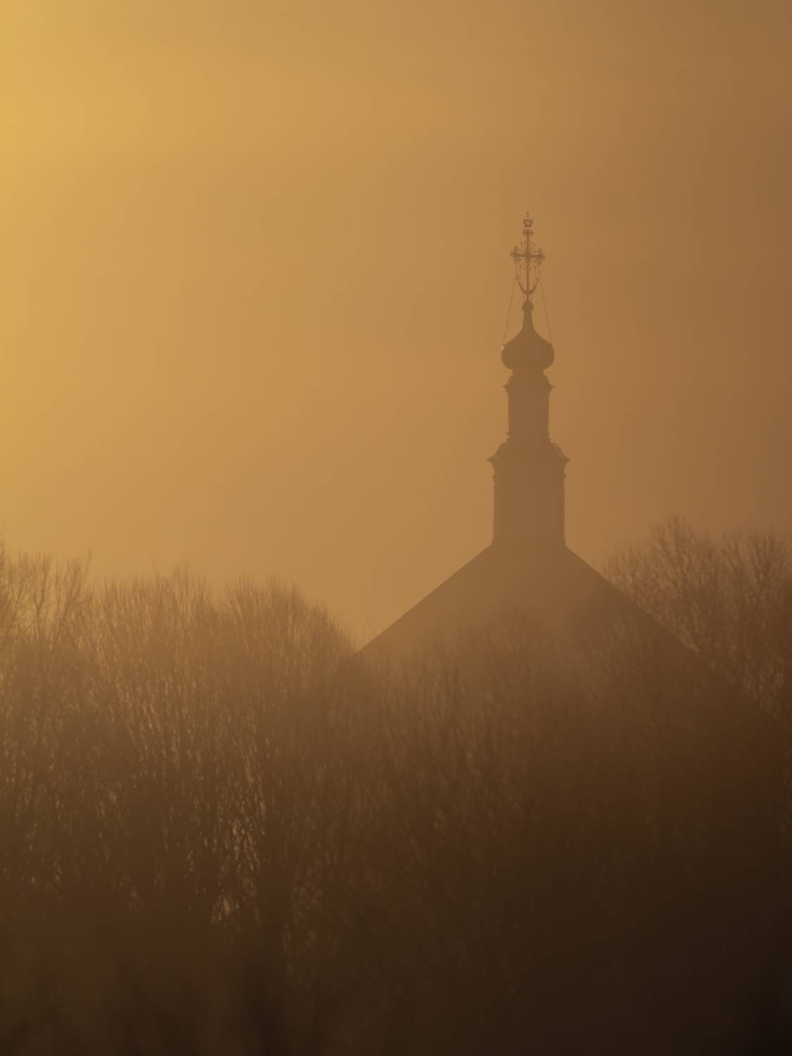 , Денис Пронин