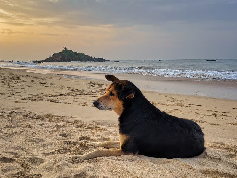 Пляжный отдых фото превью