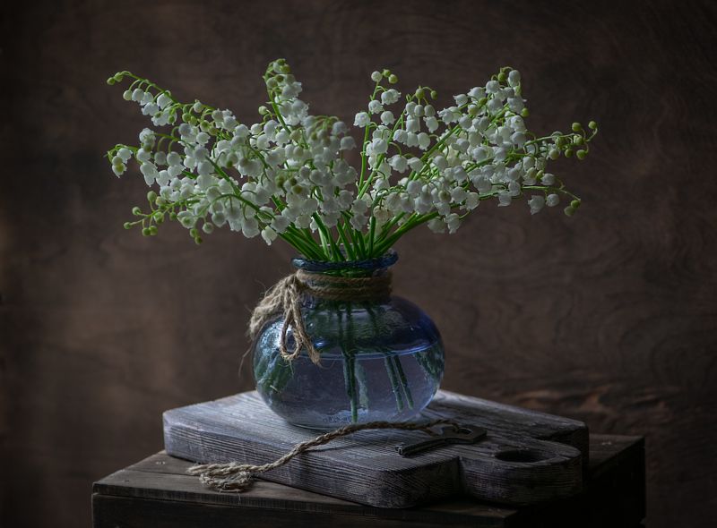 натюрморт, ландыши, ставрополь, юпитер37а Ландыши фото превью