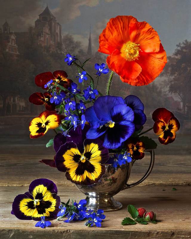 Violas and Iceland Poppy фото превью