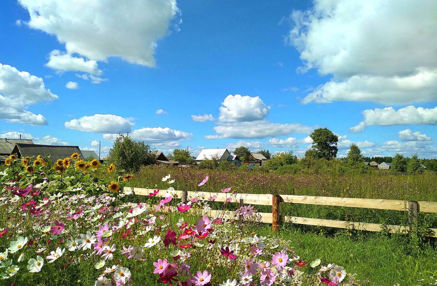 , Белоусов Михаил