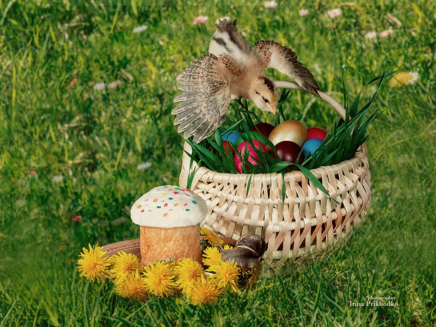 натюрморт, Пасха, Поздравительная открытка, лужайка, пасхальные яйца, цыпленок, Приходько Ирина