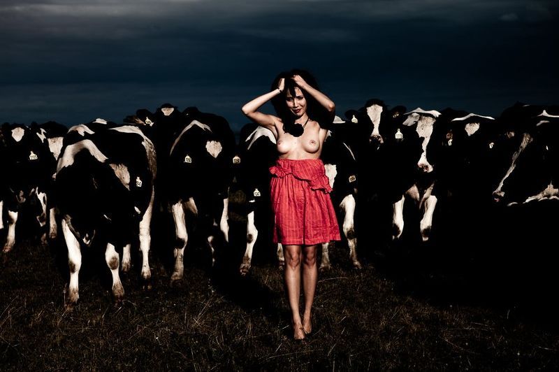 фото превью