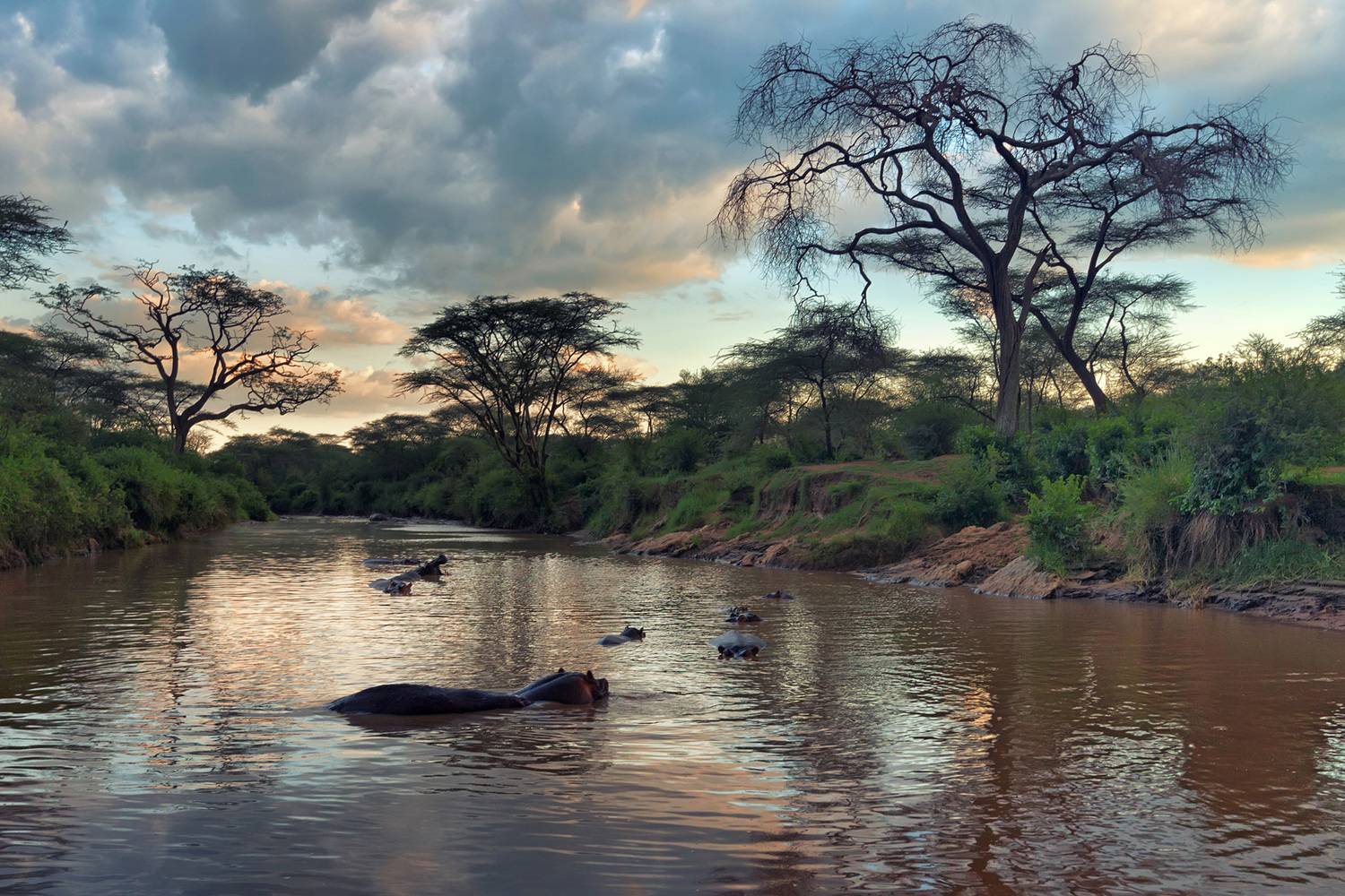 , Яков Осканов