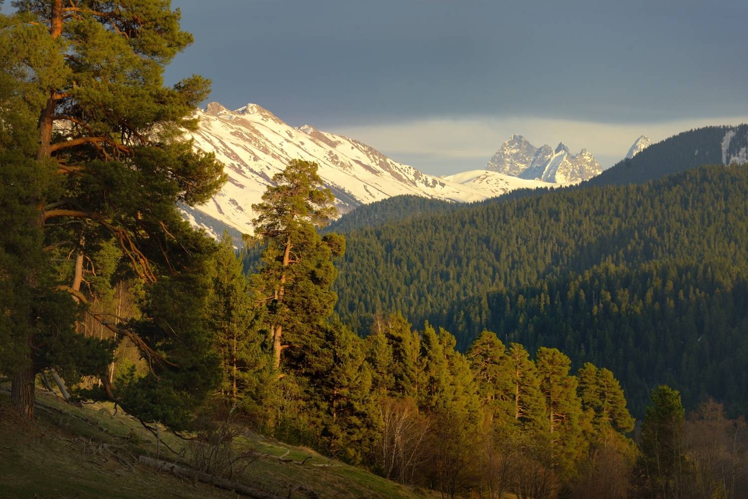 горы весна архыз, Александр Жарников