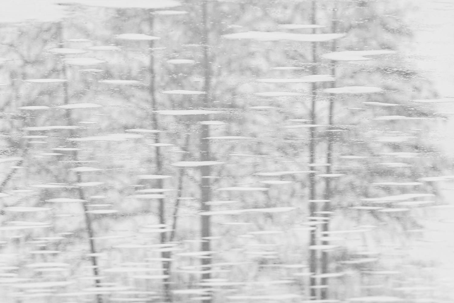 отражение, зима, природа, озеро, reflection, winter, nature, lake, Хилько Марина