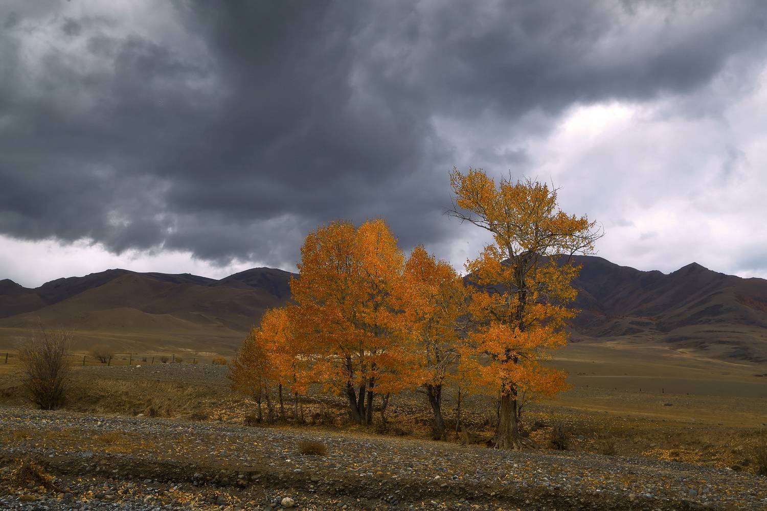 , Евгений Зинов