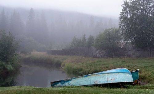 Тишина туманного утра