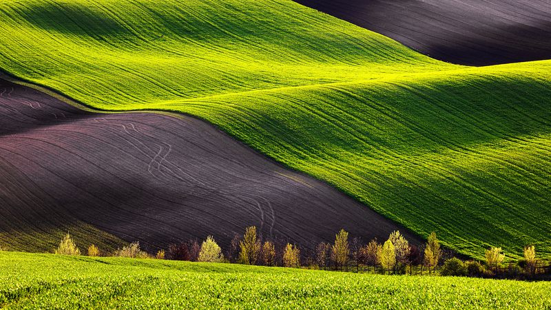 Spring waves фото превью