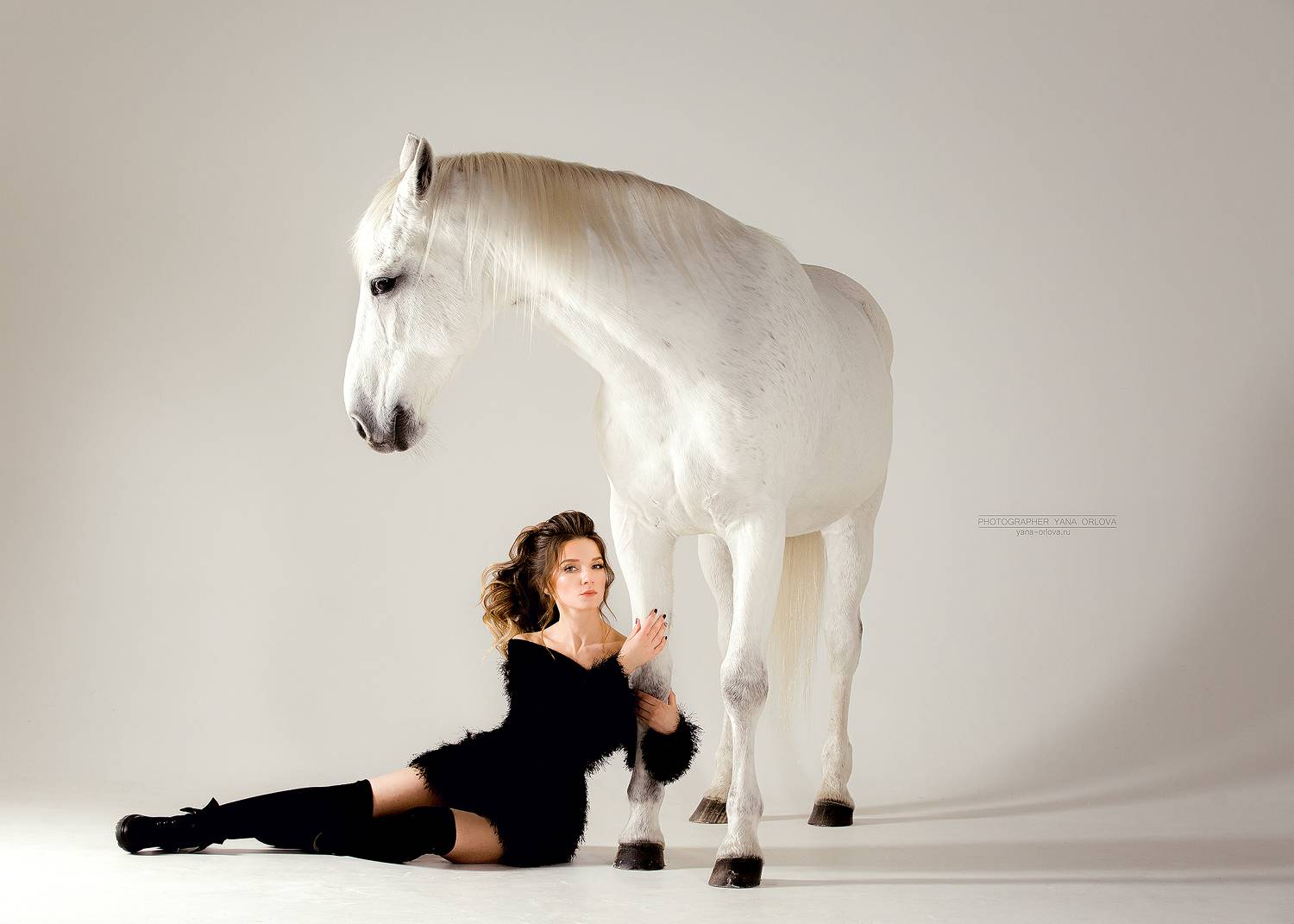 horse, horses, лошадь, конь, конныйфотограф, кэнон, canon, 7020028, конный фотограф Яна Орлова, лошади, фотографияслошадью, лошадьвфотостудии, фотостудия, лошадьнабеломфоне, циклорама, фотосессияслошадью, фотосессиислошадьми, коннаяфотография, pferd, hors, Яна Орлова