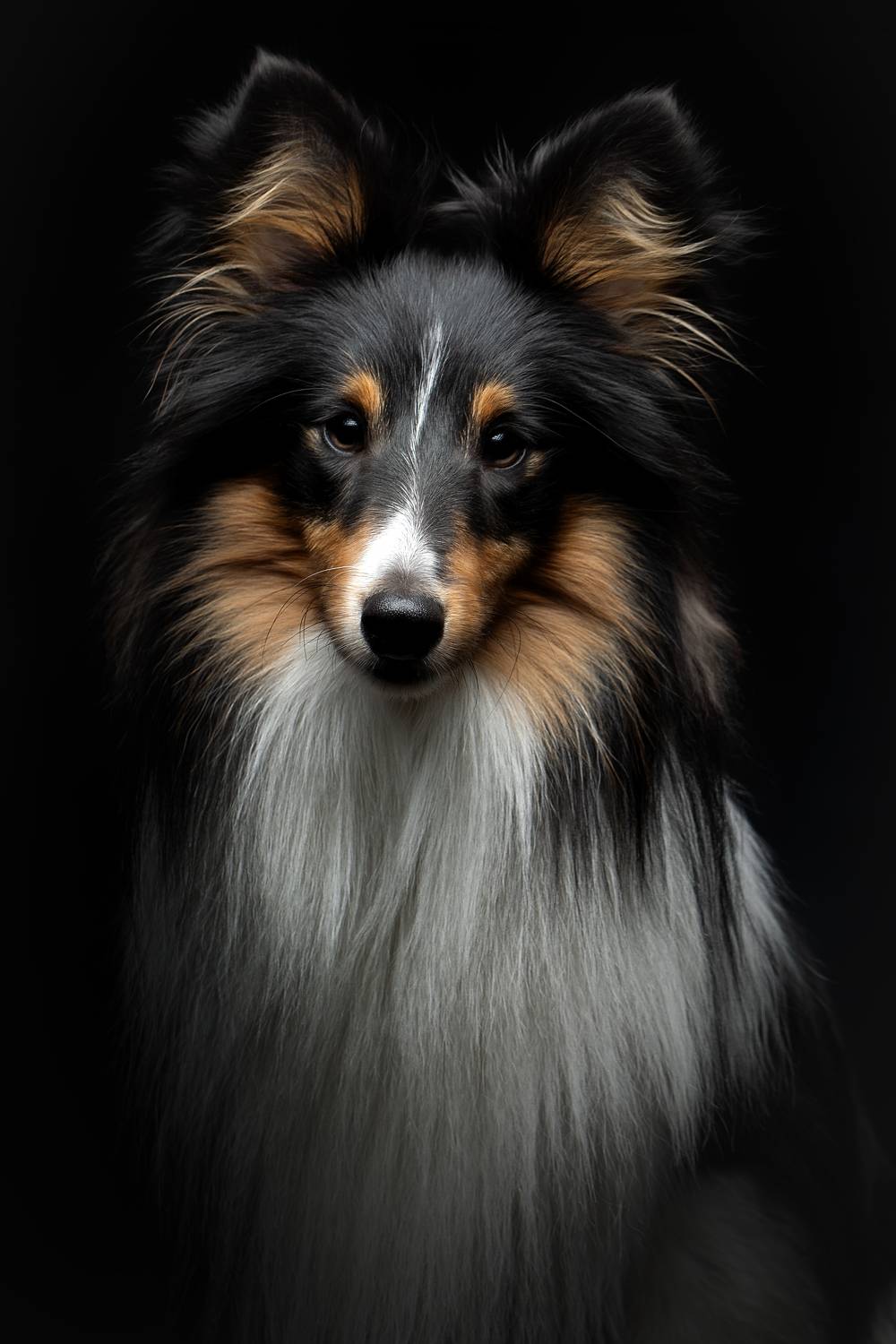 , Светлана Писарева