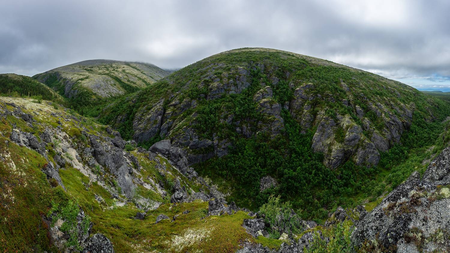 , Ян Сурогин