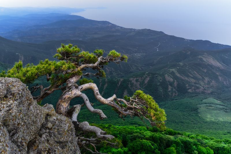 Крым Вид с Демерджи фото превью