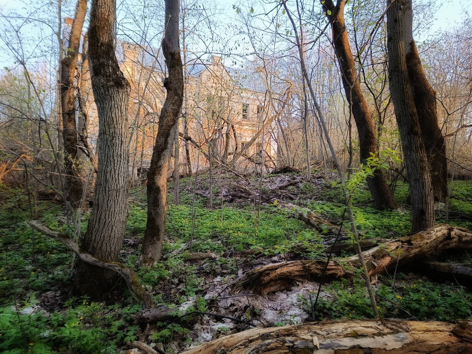 , Кондрашова Светлана