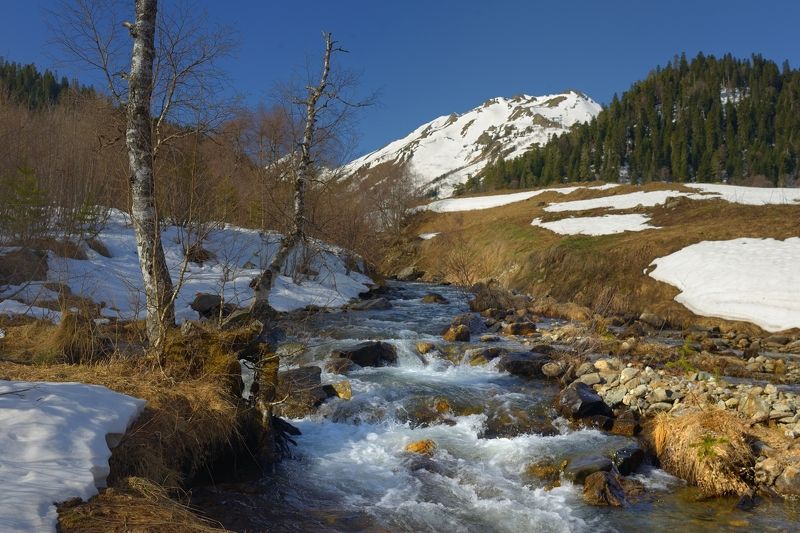 Весна фото превью