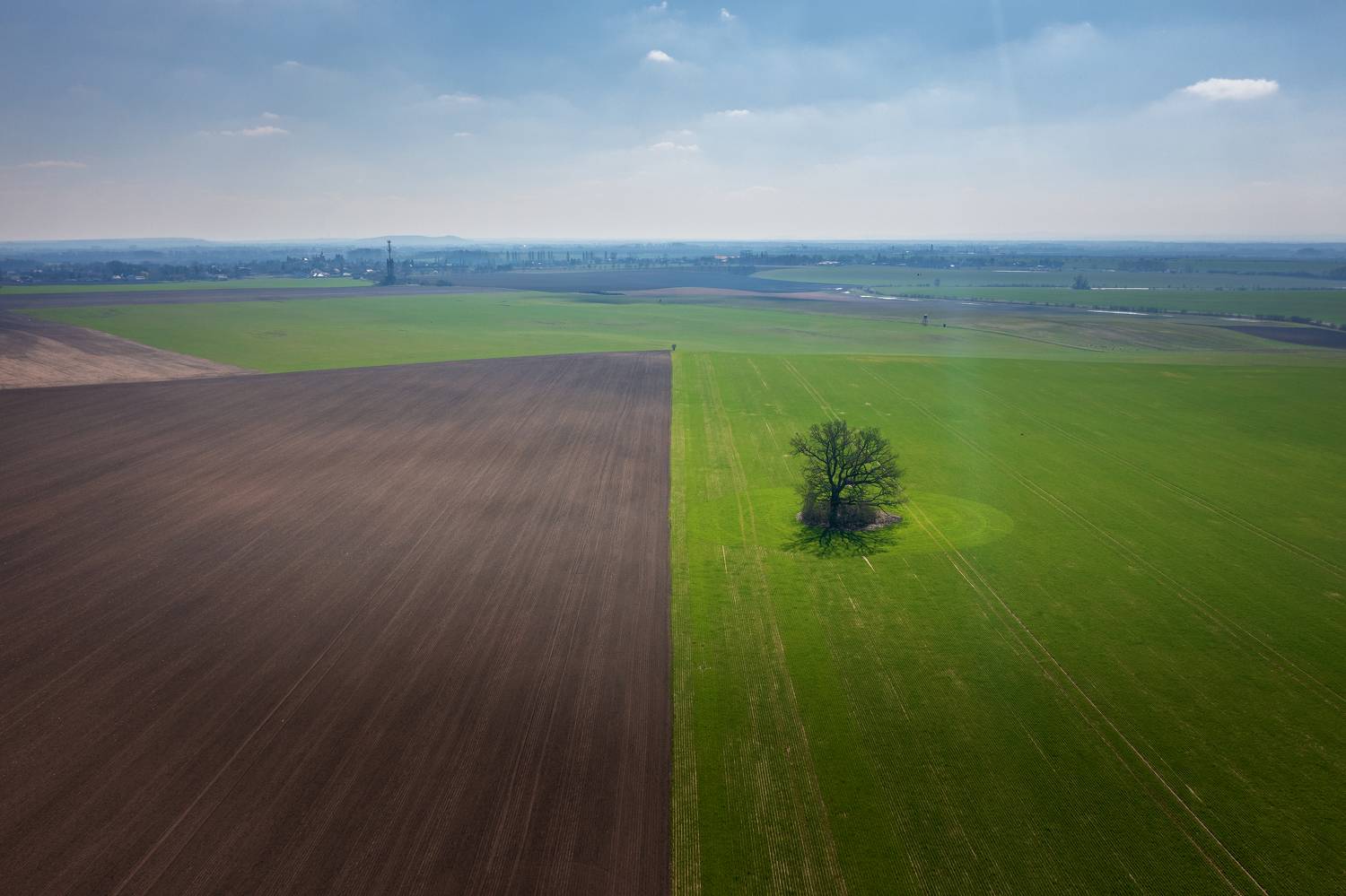 , Шимаковский Юрий