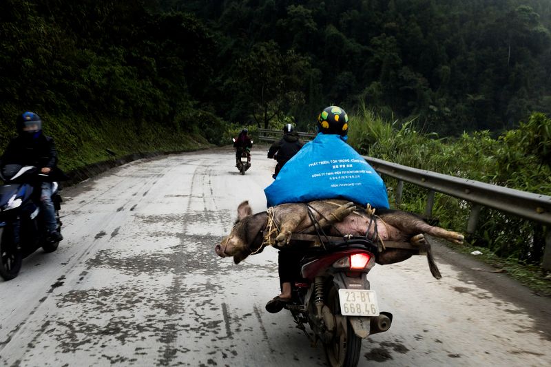 Travelling Vietnam фото превью