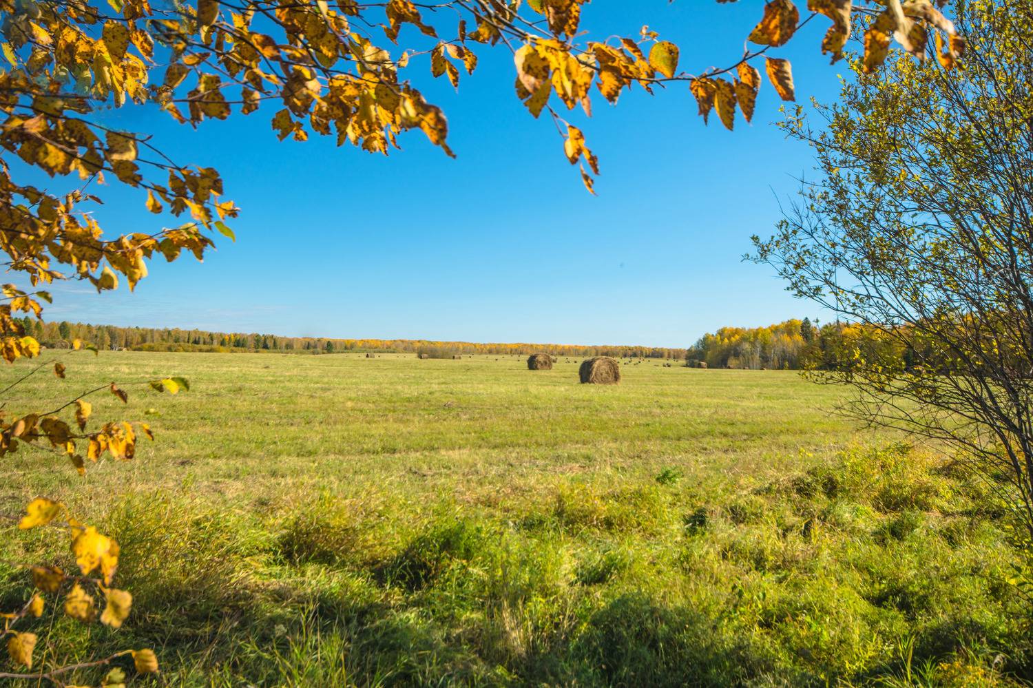 , Белоусов Михаил