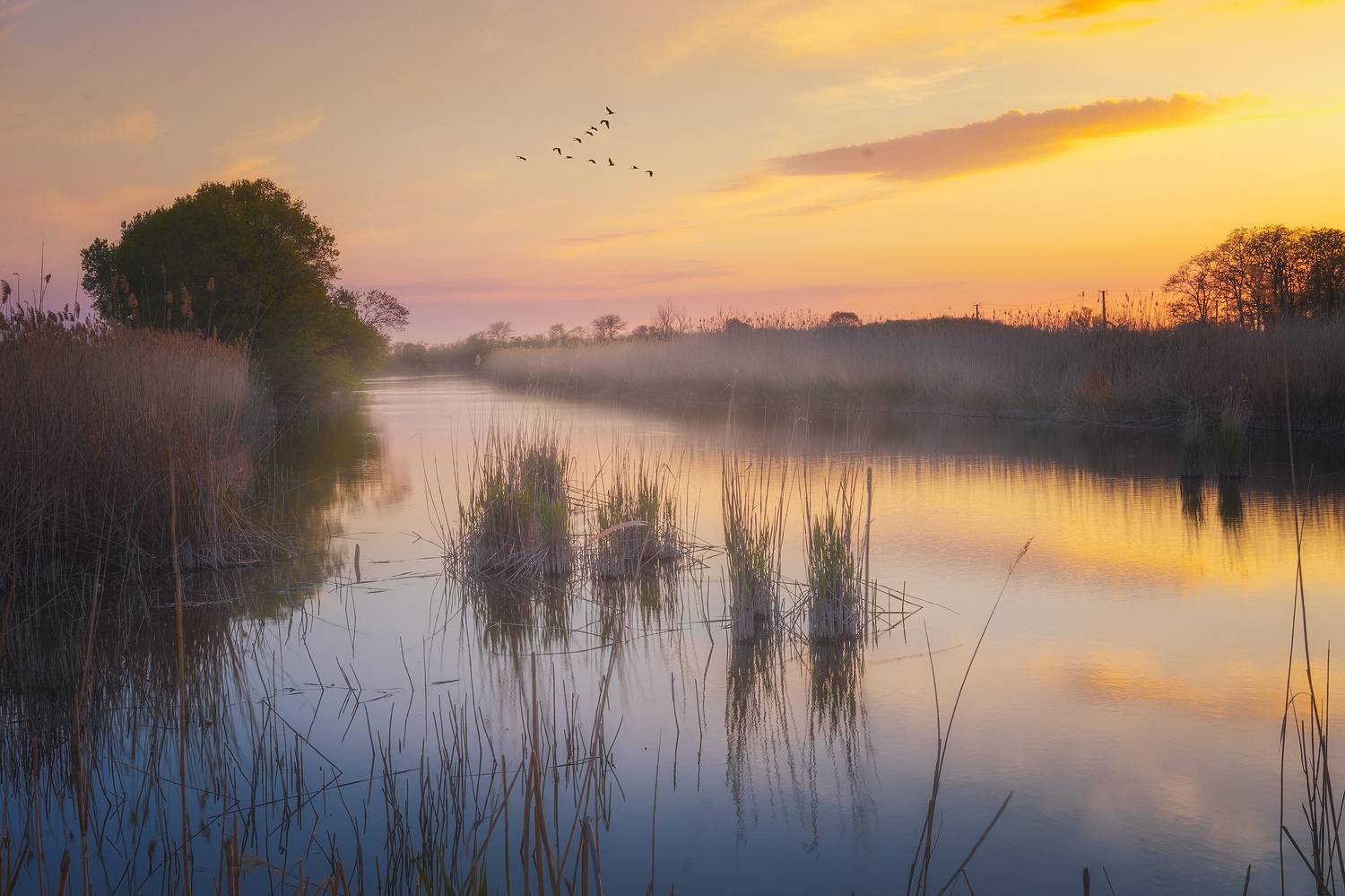 , Костенко Александр