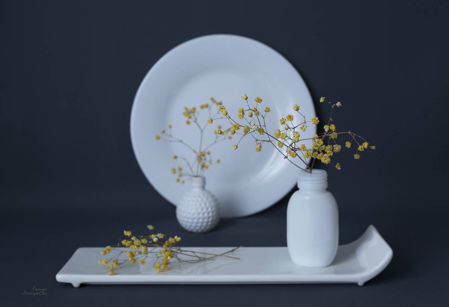 белый, тарелка, пузырьки, гипсофила, поднос, Галина Лоскутова