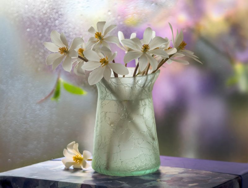 Незнакомые цветочки... фото превью