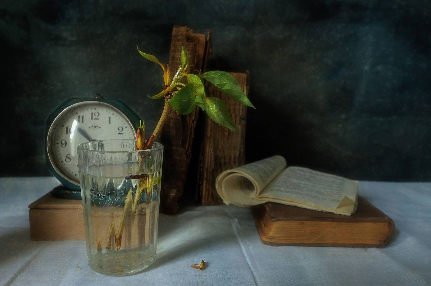 , Ирина Данилова