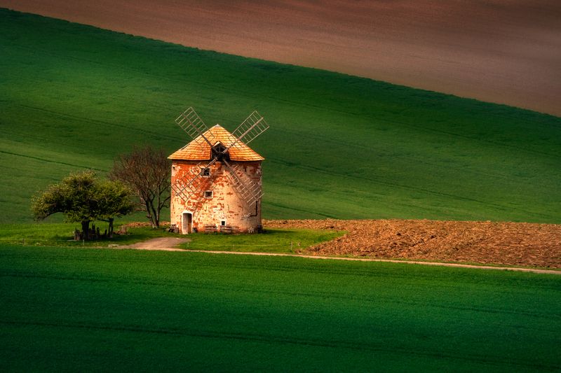 фото превью