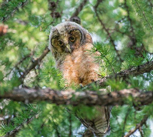 я больше не бууу..