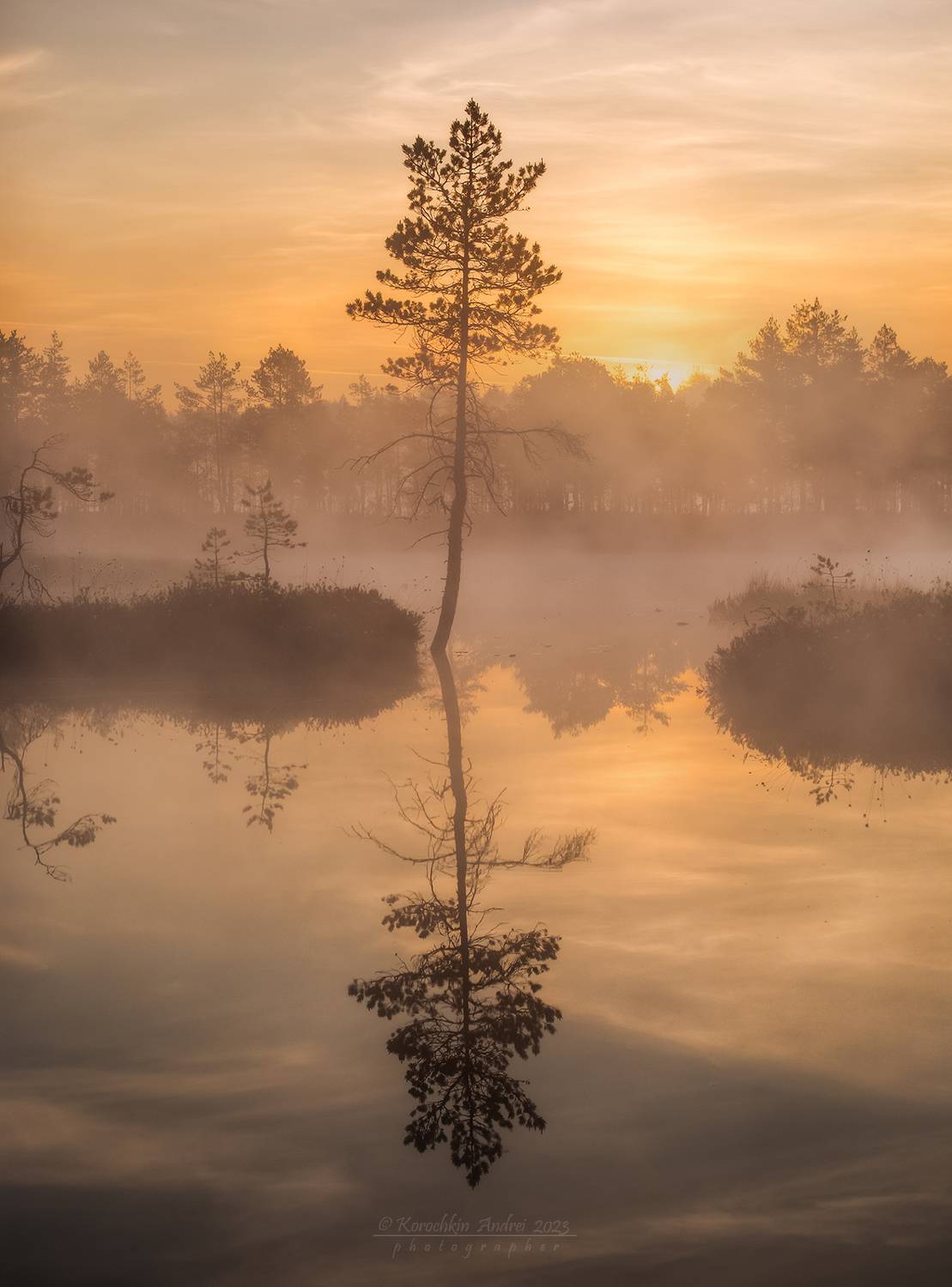 , Андрей Корочкин