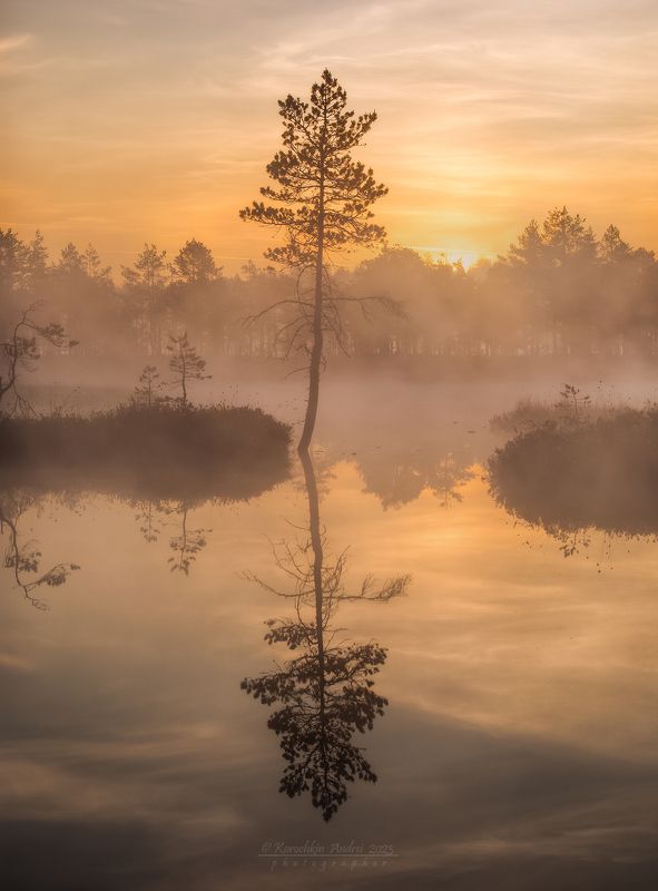 ... жизнь на островах ... фото превью