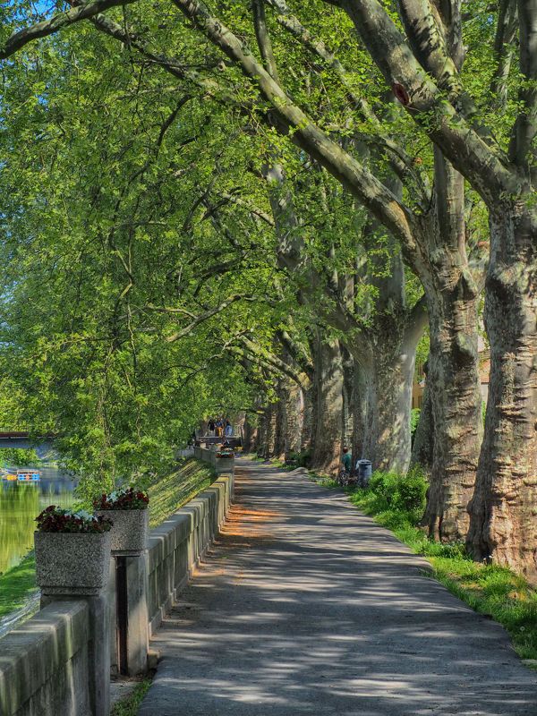 Green alley фото превью